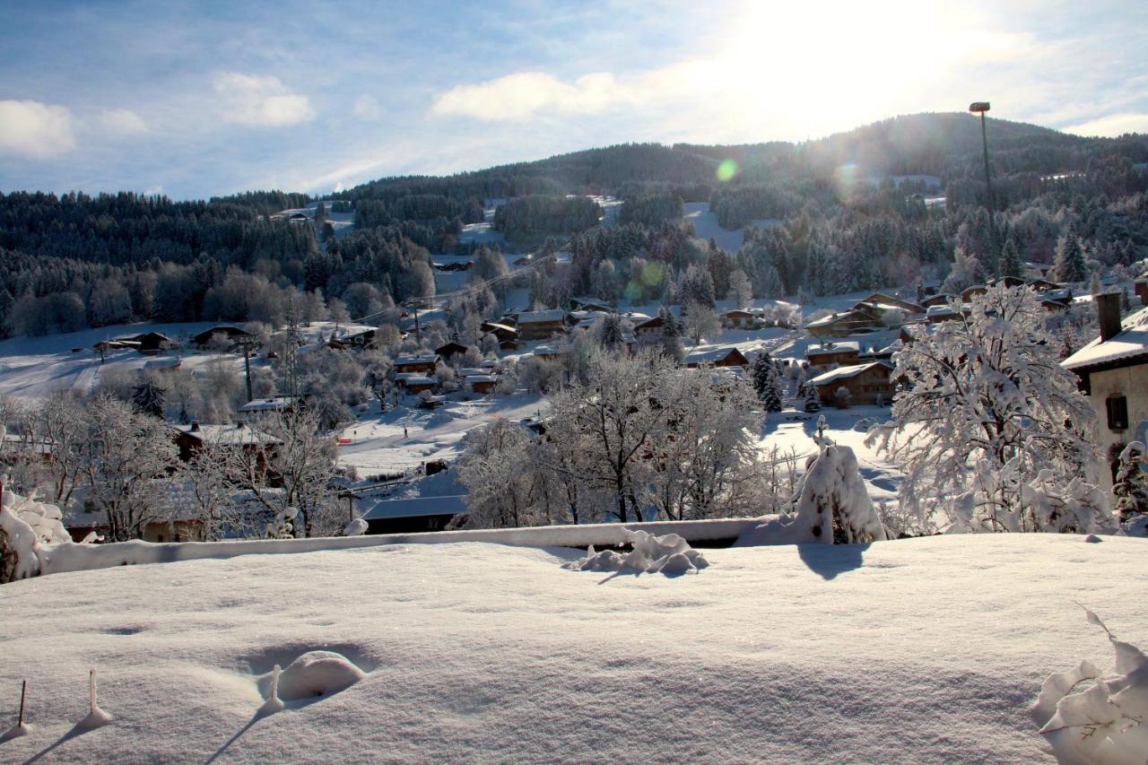 Appartement 103M2 Pres De Megeve, 2 Chambres, Grand Garage, Tennis En Ete Demi-Quartier エクステリア 写真